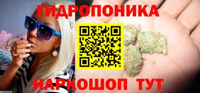 дмт Ливны