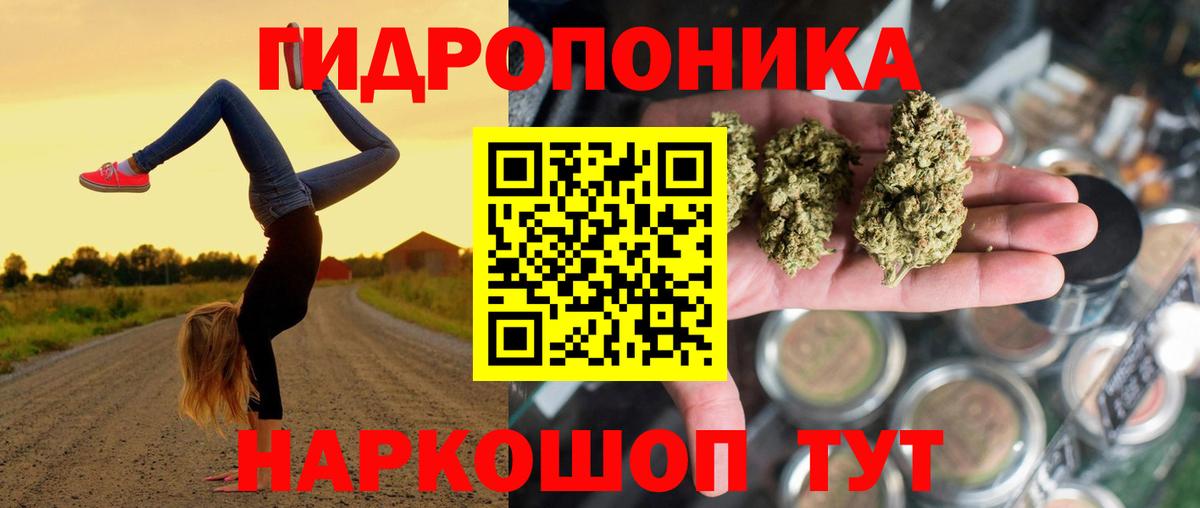 Конопля конопля Шелехов